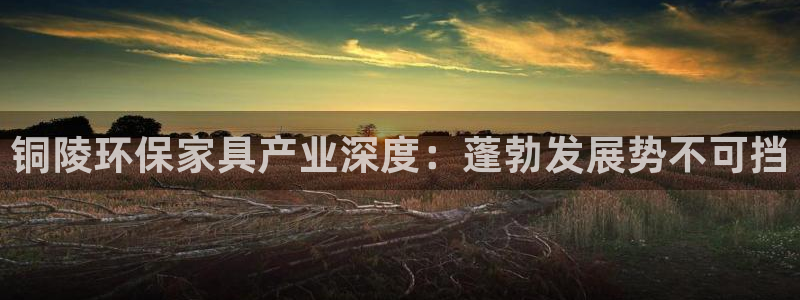 杏耀软件
