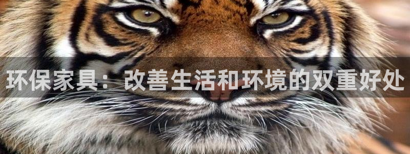 杏耀平台待遇