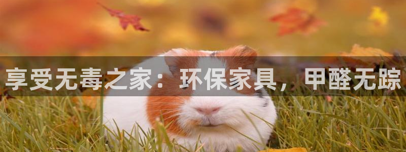 杏耀登入测速