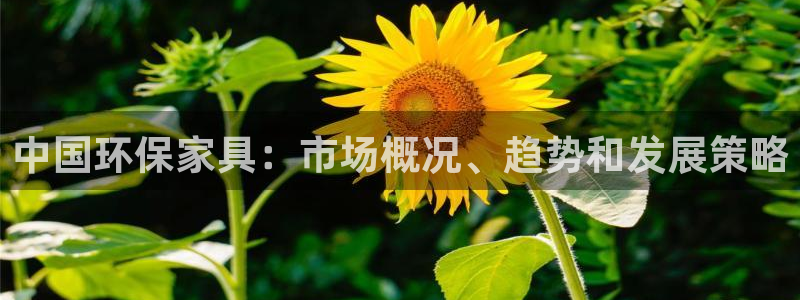 杏耀平台官方网站下载