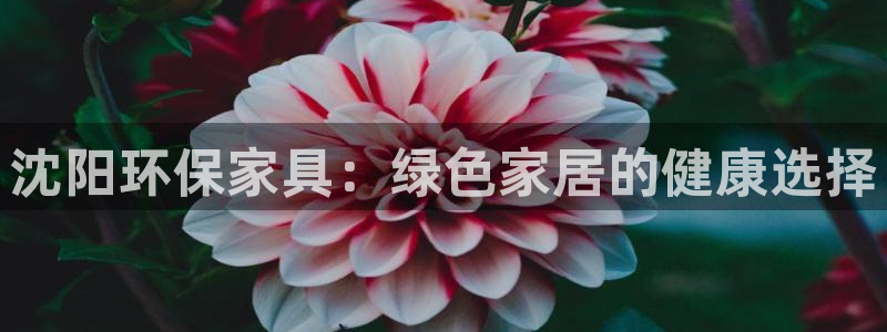 杏耀官网登陆