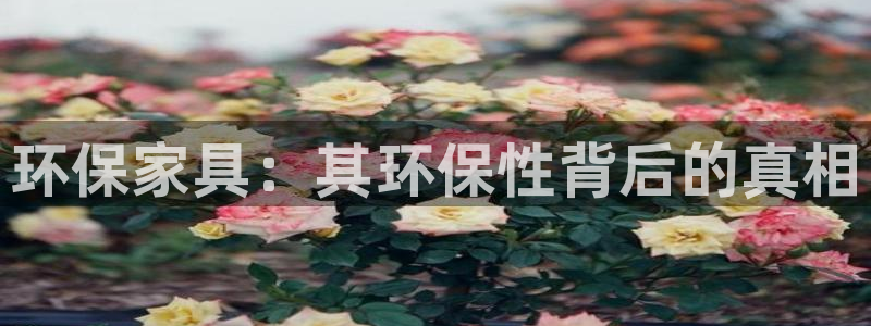 杏耀平台登陆官网
