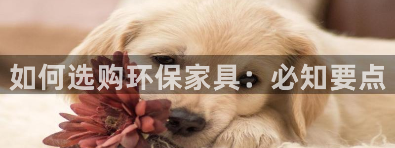 杏耀平台没有了