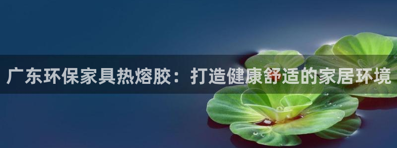 杏耀代理日工资多少
