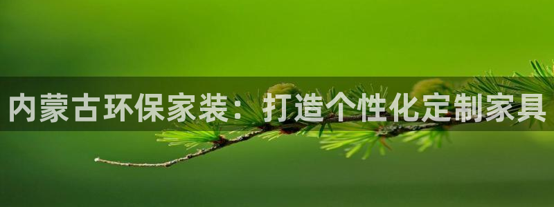杏耀代理日工资多少