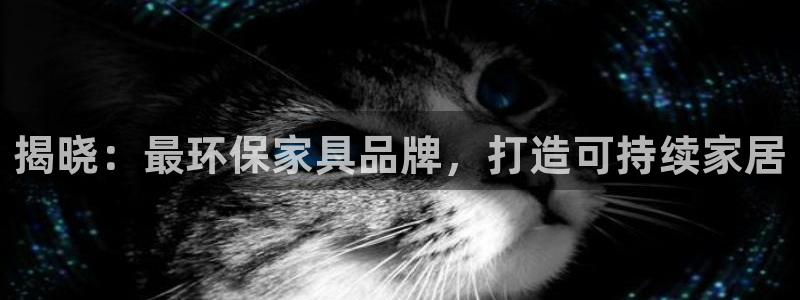 杏耀平台登陆测速