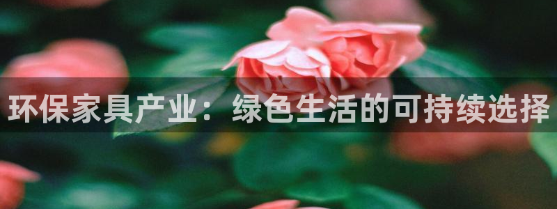 杏耀平台代理怎么赚钱的
