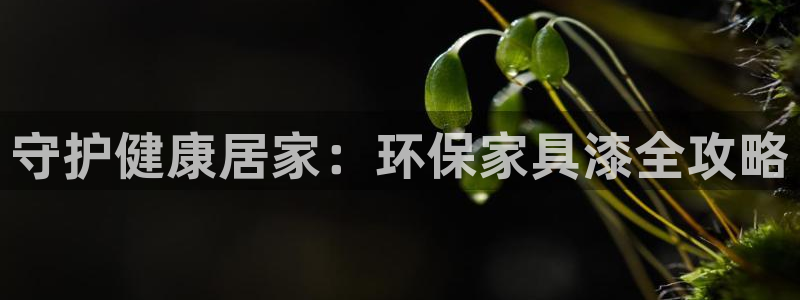 杏耀登陆电脑线路测速