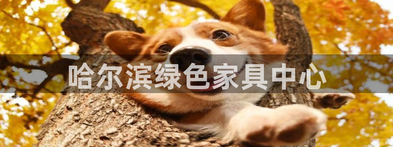 杏耀平台登陆地址