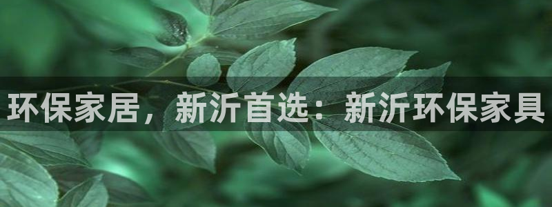 杏耀3代理