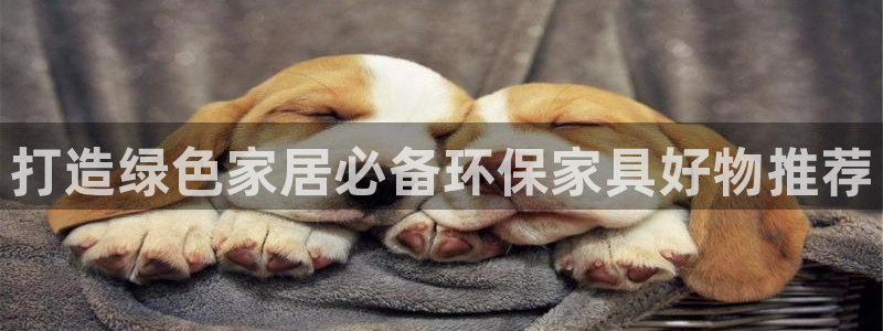 杏耀官方