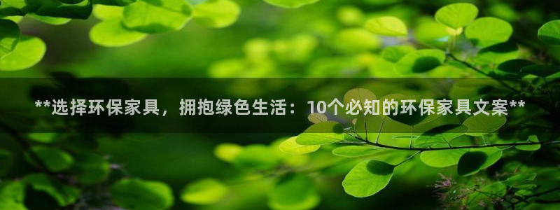 杏耀代理日工资多少