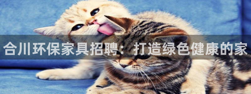 杏耀登陆线路