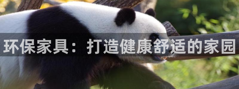 杏耀平台登陆测速