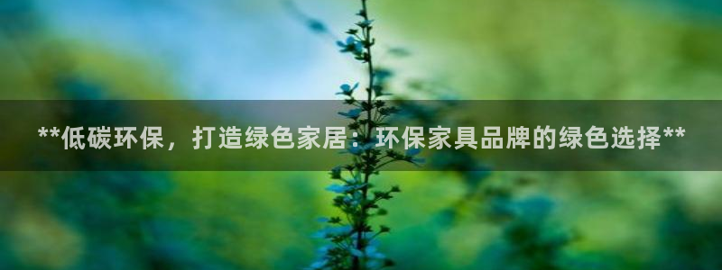 杏耀代理日工资多少