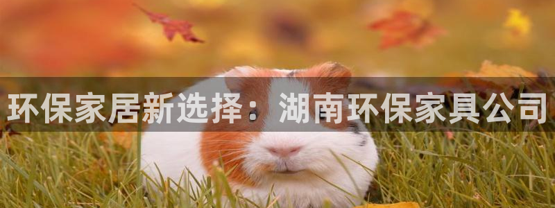 杏耀平台代理怎么赚钱的