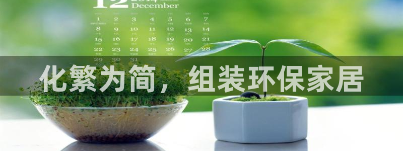 杏耀代理日工资多少