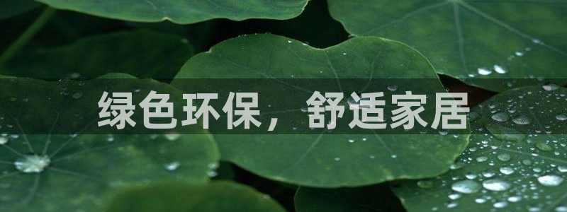 杏耀官网主管：绿色环保，舒适家居