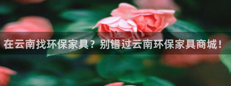 杏耀官网app：在云南找环保家具？别错过云南环保家具商城！