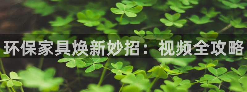 杏耀代理连接