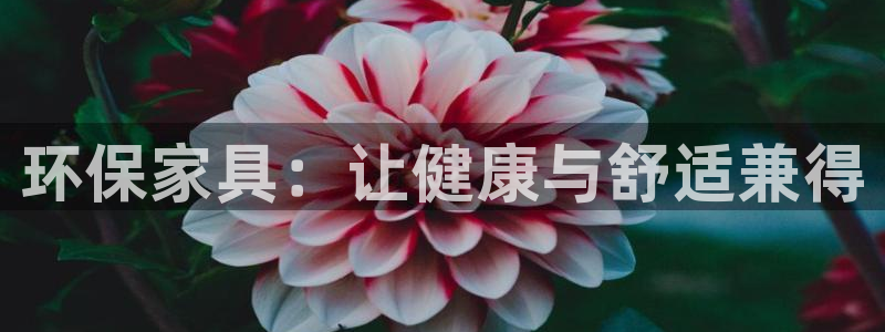 杏耀代理连接