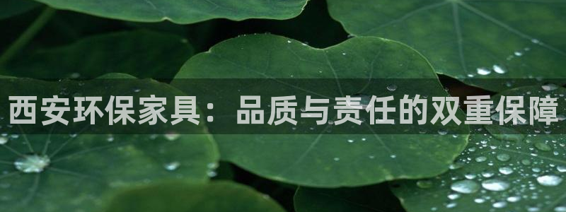 杏耀主管qq