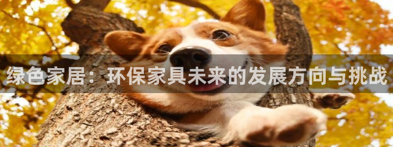 杏耀平台怎么样：绿色家居：环保家具未来的发展方向与挑战