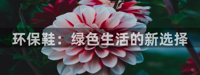 杏耀平台手机下载：环保鞋：绿色生活的新选择