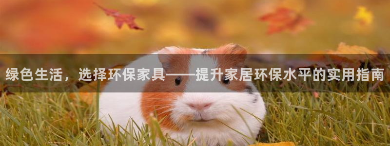 杏耀代理官网