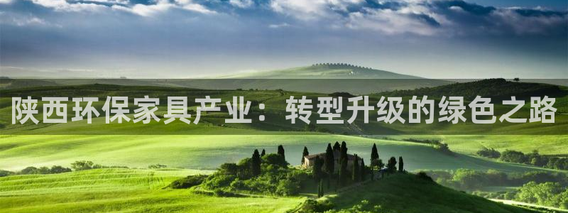 杏耀app怎样申请：陕西环保家具产业：转型升级的绿色之路