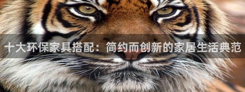 杏耀官网网站中心