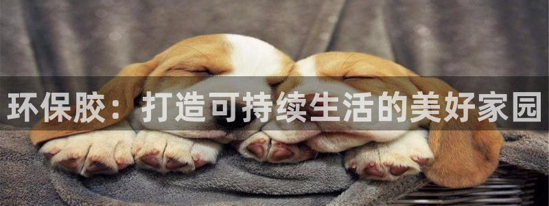 杏耀平台代理怎么赚钱快