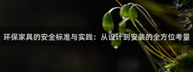杏耀登陆线路：环保家具的安全标准与实践：从设计到安装的全方位