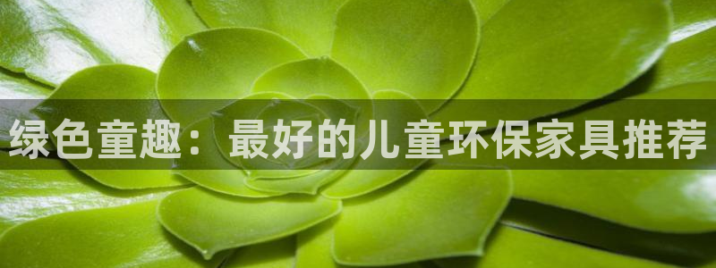 杏耀平台客服：绿色童趣：最好的儿童环保家具推荐