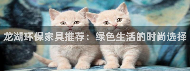 杏耀平台登录网址：龙湖环保家具推荐：绿色生活的时尚选择