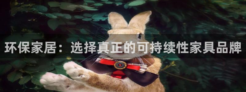 杏耀平台登录网址：环保家居：选择真正的可持续性家具品牌