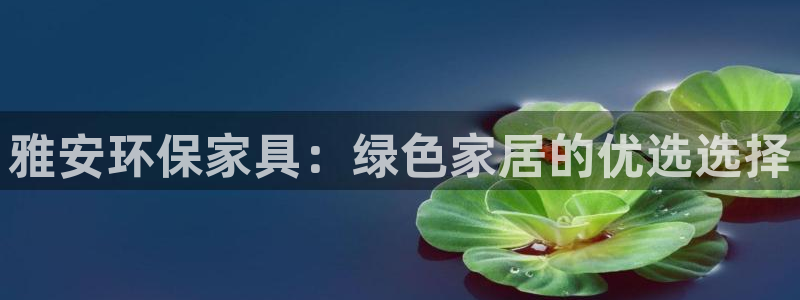 杏耀平台没有了：雅安环保家具：绿色家居的优选选择