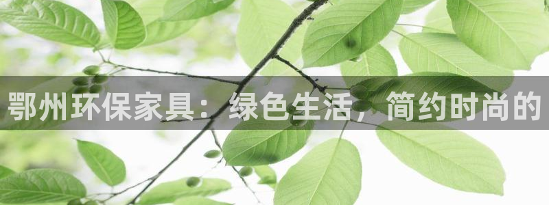 杏耀平台代理注册多少钱一年：鄂州环保家具：绿色生活，简约时尚