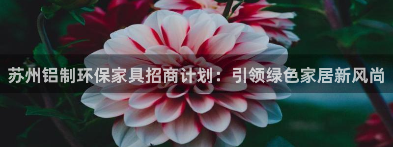 杏耀平台测：苏州铝制环保家具招商计划：引领绿色家居新风尚