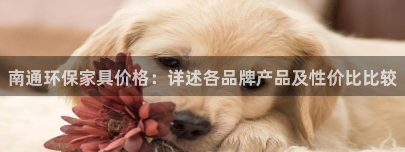 杏耀平台到底能玩吗：南通环保家具价格：详述各品牌产品及性价比
