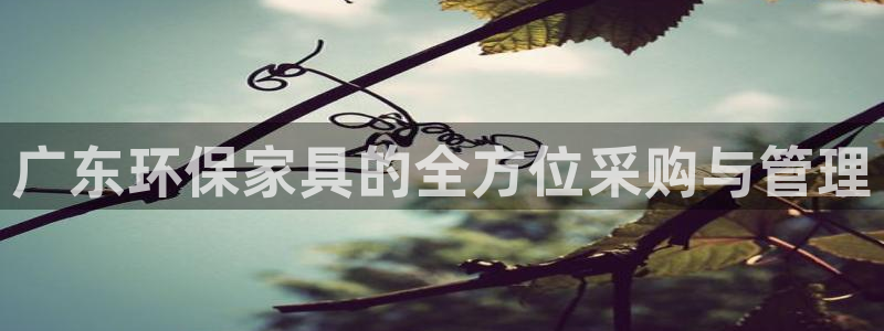 杏耀平台官方网站：广东环保家具的全方位采购与管理