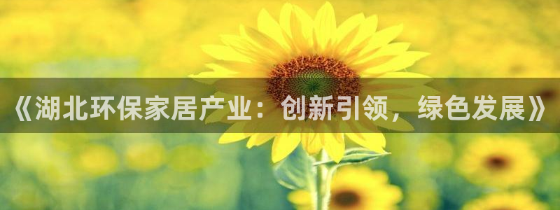 杏耀平台注册地址：《湖北环保家居产业：创新引领，绿色发展》
