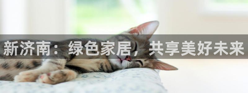 杏耀平台代理登录网址查询：新济南：绿色家居，共享美好未来