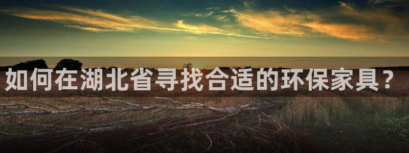 杏耀平台官方登陆：如何在湖北省寻找合适的环保家具？