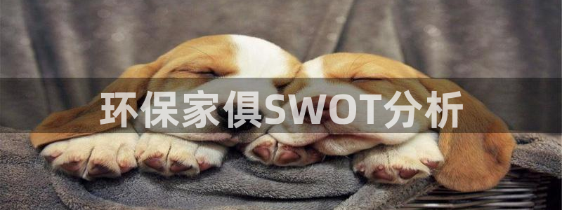 杏耀登陆电脑线路测速：环保家俱SWOT分析