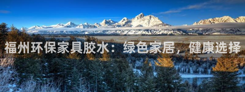 杏耀平台手机：福州环保家具胶水：绿色家居，健康选择