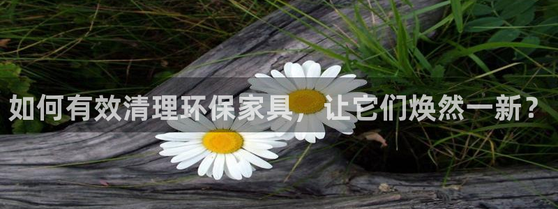 杏耀手机网页登录入口：如何有效清理环保家具，让它们焕然一新？