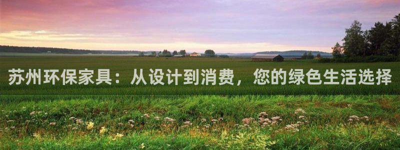 杏耀代理1980：苏州环保家具：从设计到消费，您的绿色生活选