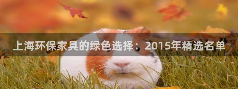 杏耀平台已注册入口：上海环保家具的绿色选择：2015年精选名