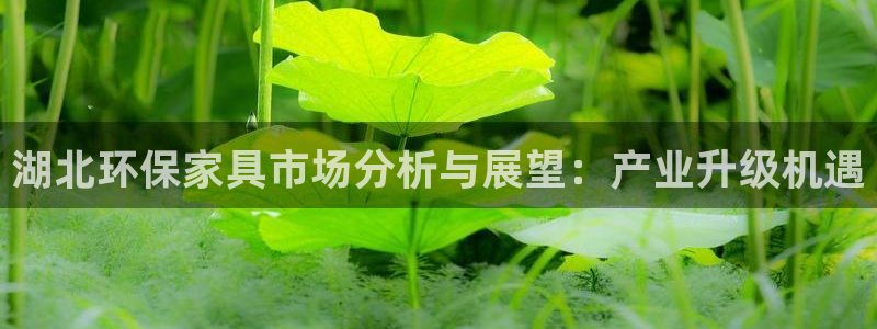 杏耀平台怎么样?：湖北环保家具市场分析与展望：产业升级机遇